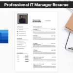 Professional IT Manager Resume Template