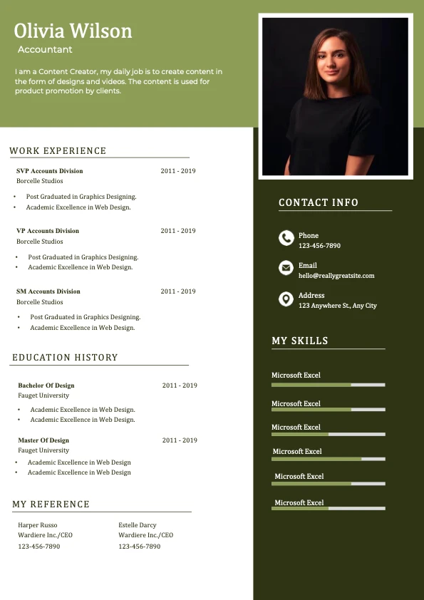 Minimalist Accountant Resume