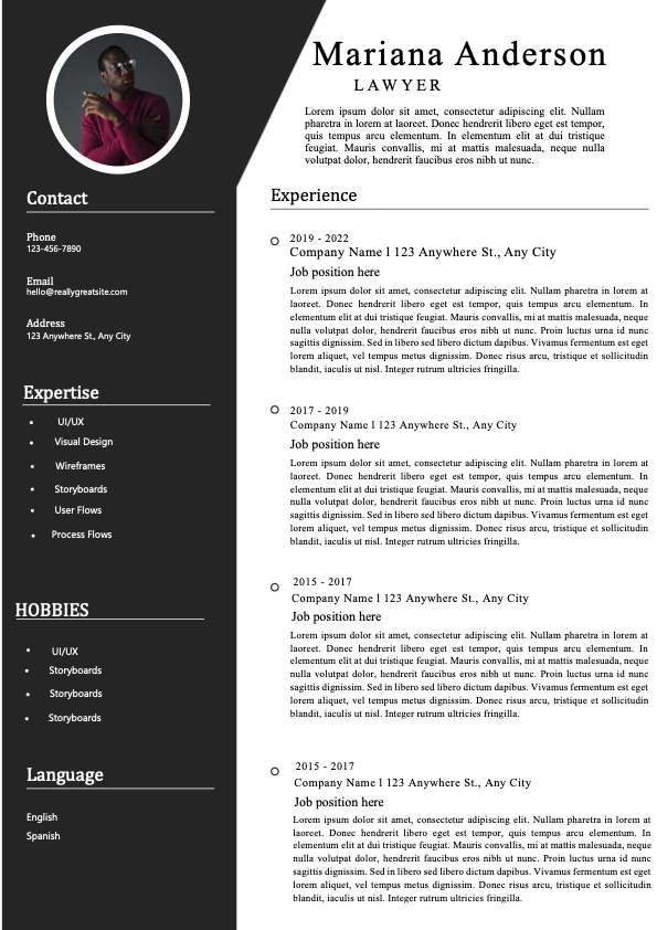 Minimalist Lawyers Resume